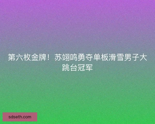 第六枚金牌！苏翊鸣勇夺单板滑雪男子大跳台冠军